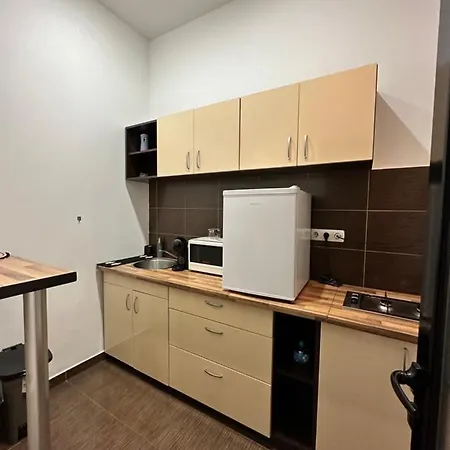 Harmony Homes- Piata Unirii Central Apartament Apartment Timisoara
