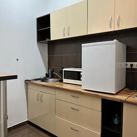Harmony Homes- Piata Unirii Central Apartament Apartment *